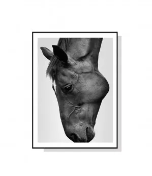 Black Horse Wall Art Canvas 3 sizes available 50cm x 70cm by Luxe Mirrors, a Artwork & Wall Decor for sale on Style Sourcebook