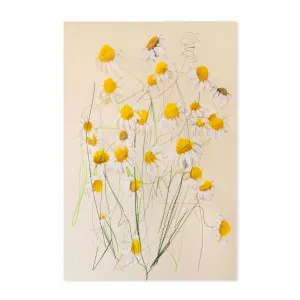 Chamomile No.1 , By Leigh Viner by Gioia Wall Art, a Prints for sale on Style Sourcebook