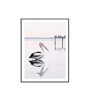 Pelican Bird Wall Art Canvas 4 sizes available 70cm x 50cm by Luxe Mirrors, a Artwork & Wall Decor for sale on Style Sourcebook