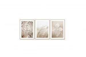 Set of 3  Dried Flowers Wall Art Canvas 3 sizes available 60cm x 40cm by Luxe Mirrors, a Artwork & Wall Decor for sale on Style Sourcebook
