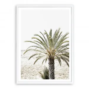 Vacation Palm Photo Art Print by The Print Emporium, a Prints for sale on Style Sourcebook