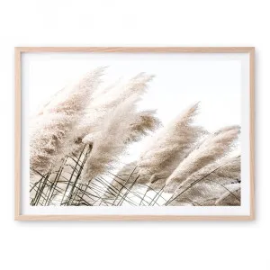 Pampas Photo Art Print by The Print Emporium, a Prints for sale on Style Sourcebook