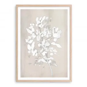 Soft Bloom Art Print by The Print Emporium, a Prints for sale on Style Sourcebook