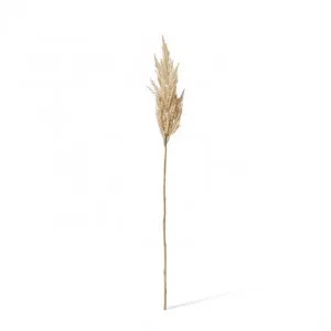 Pampas Grass Stem - 10 x 10 x 83cm by Elme Living, a Plants for sale on Style Sourcebook