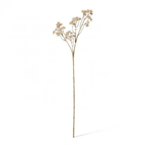 Aralia Deco Seed Spray - 13 x 11 x 84cm by Elme Living, a Plants for sale on Style Sourcebook