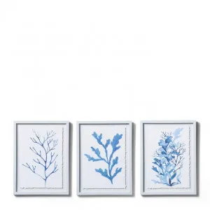 Coral Parchment Paper Wall Art 3 Assorted - 30 x 2.5 x 40cm by Elme Living, a Painted Canvases for sale on Style Sourcebook