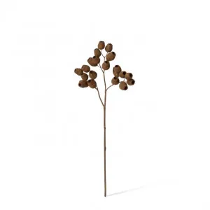 Gum Nut Dried Look Spray - 22 x 10 x 48cm by Elme Living, a Plants for sale on Style Sourcebook