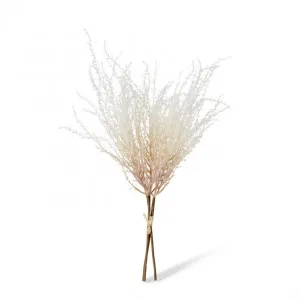 Pampas Decor Bundle - 25 x 25 x 60cm by Elme Living, a Plants for sale on Style Sourcebook