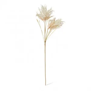 Pampas Field Grass Decor Spray - 30 x 30 x 120cm by Elme Living, a Plants for sale on Style Sourcebook