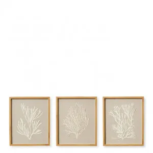 Coral Rice Paper Wall Art 3 Assorted - 50 x 3 x 60cm by Elme Living, a Painted Canvases for sale on Style Sourcebook