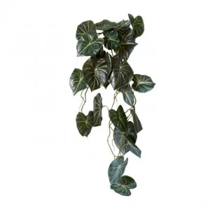 Anthurium Vine Hanging Plant - 32 x 30 x 90cm by Elme Living, a Plants for sale on Style Sourcebook