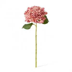 Hydrangea Classic Large Stem - 20 x 20 x 65cm by Elme Living, a Plants for sale on Style Sourcebook