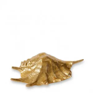 Murex Shell Sculpture - 33 x 19 x 10cm by Elme Living, a Statues & Ornaments for sale on Style Sourcebook