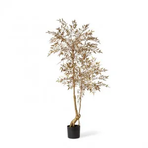 Nandina Tree - 80 x 70 x 140cm by Elme Living, a Plants for sale on Style Sourcebook