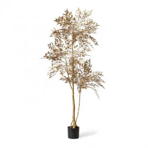 Nandina Tree - 80 x 75 x 170cm by Elme Living, a Plants for sale on Style Sourcebook