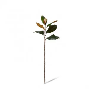 Magnolia Leaf with Bud Stem - 23 x 23 x 69cm by Elme Living, a Plants for sale on Style Sourcebook