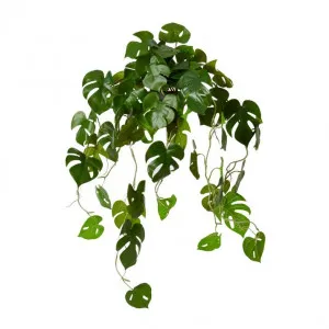 Monstera Hanging Plant Potted - 38 x 35 x 84cm by Elme Living, a Plants for sale on Style Sourcebook
