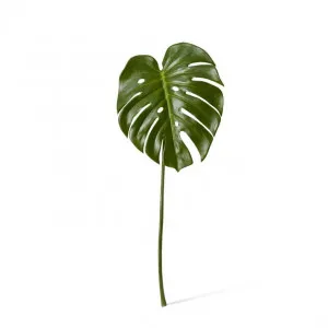 Monstera Leaf - 30 x 26 x 60cm by Elme Living, a Plants for sale on Style Sourcebook