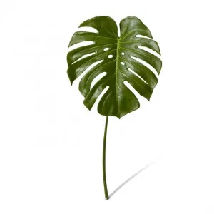 Monstera Leaf - 35 x 32 x 60cm by Elme Living, a Plants for sale on Style Sourcebook