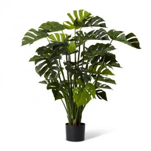 Monstera Potted - 50 x 50 x 100cm by Elme Living, a Plants for sale on Style Sourcebook