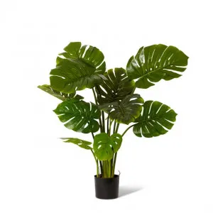 Monstera Potted - 110 x 110 x 122cm by Elme Living, a Plants for sale on Style Sourcebook