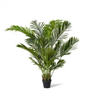 Palm Areca - 75 x 75 x 115cm by Elme Living, a Plants for sale on Style Sourcebook