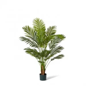 Palm Areca - 85 x 85 x 137cm by Elme Living, a Plants for sale on Style Sourcebook