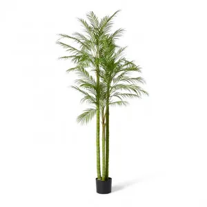 Palm Cabada - 91 x 91 x 210cm by Elme Living, a Plants for sale on Style Sourcebook
