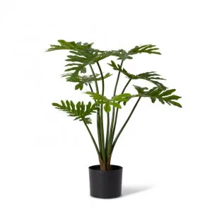 Philodendron Potted - 40 x 40 x 80cm by Elme Living, a Plants for sale on Style Sourcebook