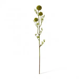 Pom Pom Seeding Spray - 12 x 12 x 61cm by Elme Living, a Plants for sale on Style Sourcebook