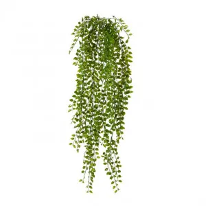 Ruscus Hanging Plant (Outdoor) - 25 x 20 x 60cm by Elme Living, a Plants for sale on Style Sourcebook