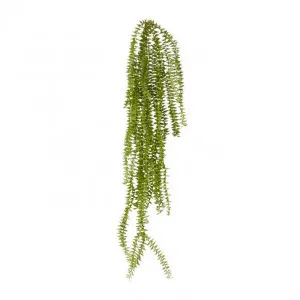 Sawtooth Hanging Plant - 16 x 14 x 80cm by Elme Living, a Plants for sale on Style Sourcebook