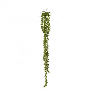 String of Pearls Hanging Plant - 8 x 8 x 71cm by Elme Living, a Plants for sale on Style Sourcebook