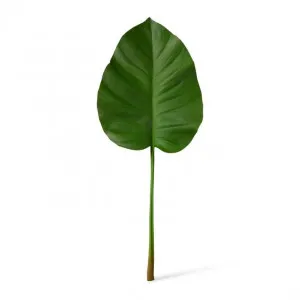 Taro DeLuxe Leaf - 22 x 5 x 57cm by Elme Living, a Plants for sale on Style Sourcebook
