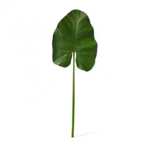 Taro DeLuxe Leaf - 30 x 5 x 86cm by Elme Living, a Plants for sale on Style Sourcebook