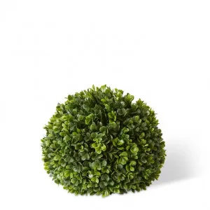 Topiary Boxwood Ball (Outdoor) - 24 x 24 x 24cm by Elme Living, a Plants for sale on Style Sourcebook