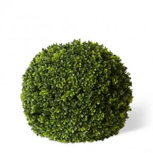 Topiary Boxwood Ball (Outdoor) - 42 x 42 x 42cm by Elme Living, a Plants for sale on Style Sourcebook