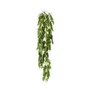 Trailing Hanging Plant - 18 x 10 x 66cm by Elme Living, a Plants for sale on Style Sourcebook