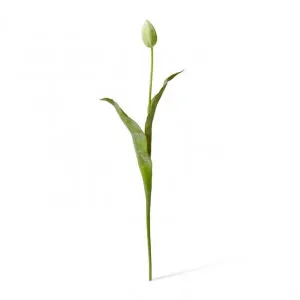 Tulip Stem - 9 x 3 x 74cm by Elme Living, a Plants for sale on Style Sourcebook