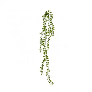 Angel Vine Hanging Plant - 9 x 3 x 105cm by Elme Living, a Plants for sale on Style Sourcebook