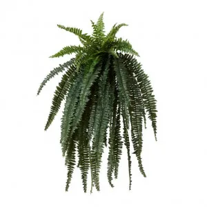 Boston Grand Fern - 80 x 65 x 120cm by Elme Living, a Plants for sale on Style Sourcebook