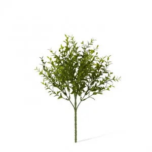 Boxwood Bush (Outdoor) - 20 x 20 x 34cm by Elme Living, a Plants for sale on Style Sourcebook