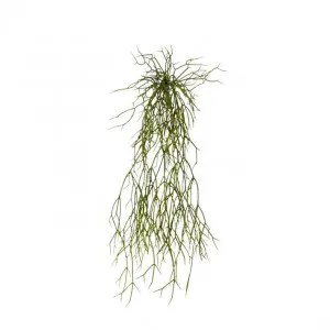 Cactus Pencil Plant - 17 x 16 x 53cm by Elme Living, a Plants for sale on Style Sourcebook