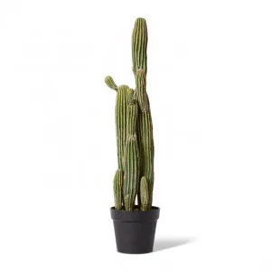 Cactus Saguaro Potted - 25 x 20 x 91cm by Elme Living, a Plants for sale on Style Sourcebook
