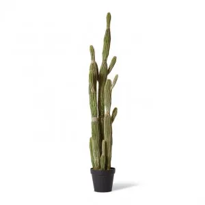 Cactus Saguaro Potted - 30 x 30 x 152cm by Elme Living, a Plants for sale on Style Sourcebook