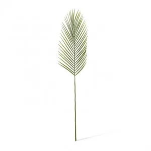 Cycad Leaf Stem - 23 x 1 x 88cm by Elme Living, a Plants for sale on Style Sourcebook