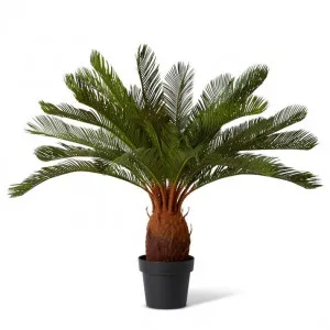 Cycas Plant Potted - 76 x 76 x 93cm by Elme Living, a Plants for sale on Style Sourcebook