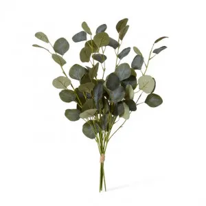 Eucalyptus Dollar Bundle - 40 x 40 x 50cm by Elme Living, a Plants for sale on Style Sourcebook