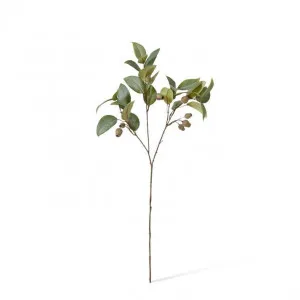 Eucalyptus Gum Nut Spray - 20 x 6 x 84cm by Elme Living, a Plants for sale on Style Sourcebook