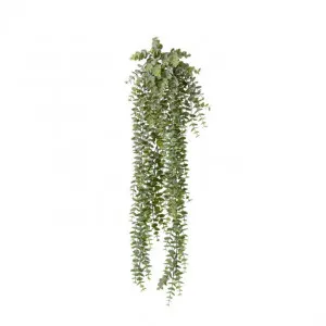 Eucalyptus Hanging Plant - 15 x 15 x 80cm by Elme Living, a Plants for sale on Style Sourcebook